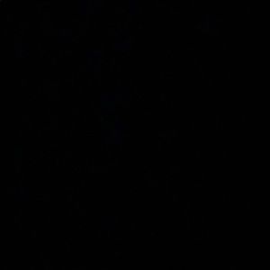 Meet your Posher, Emely